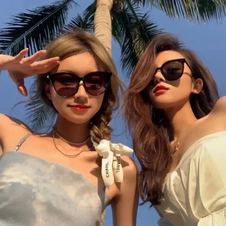 海葵